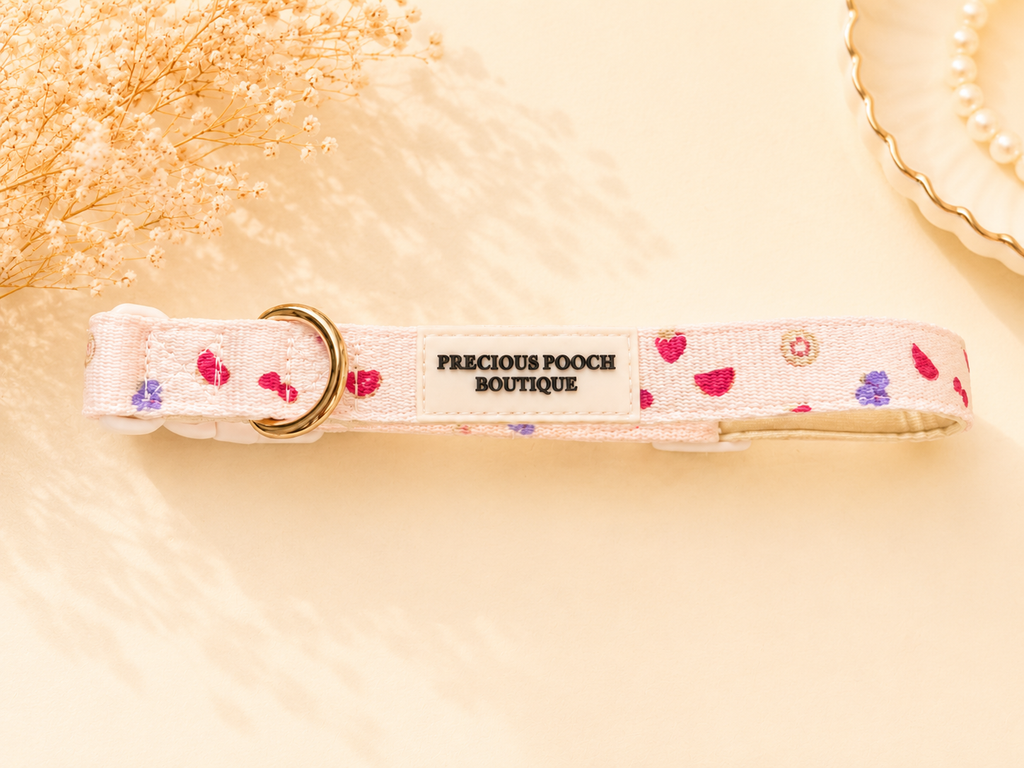 Cutie Fruity Collar