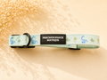 Dino Dreams Collar