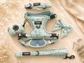 Dino Dreams Urban Trails Harness Set