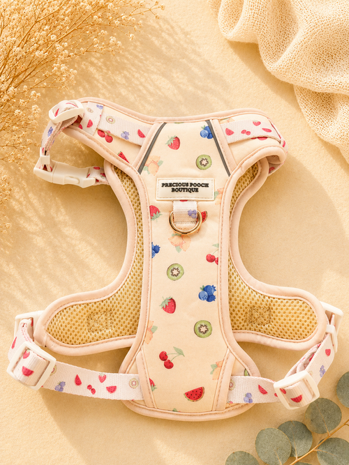 Cutie Fruity Urban Trails Harness