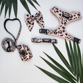 Wild At Heart Adjustable Harness Set